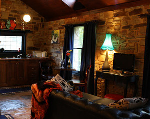 Ottery Cottage Pic 4 - Living area with kitchenette