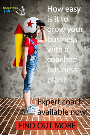 Business Pilot Pic 3 - Coached Business Plans