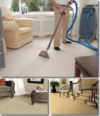 Mr.Carpet Cleaner Pic 1 - Carpet Cleaning SydneyCarpet CleanerUpholstery CleaningLeather Cleaning