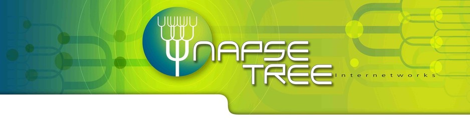 Napse Tree Pic 1