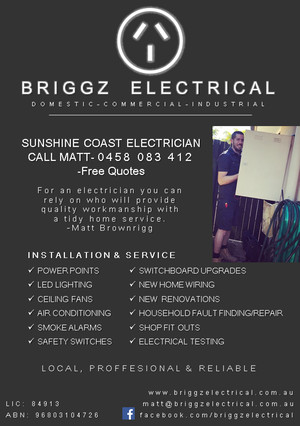 Briggz Electrical Pic 3