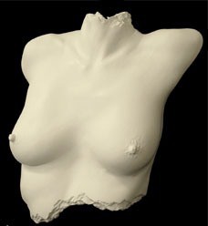 Crystal Keepsakes Pty Ltd Pic 4 - high definition body casting