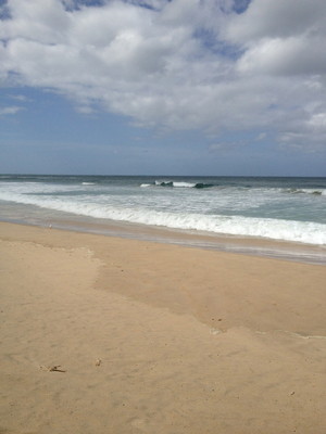 Herbs in Health - Naturopathic Medicine Pic 2 - Beautiful Burleigh Beach