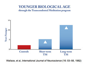 Transcendental Meditation Pic 4