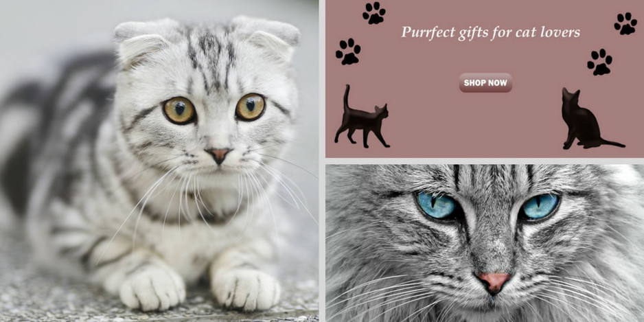 Meowii And Purr Pic 1 - Purrfect Gift Ideas for Cat Lovers