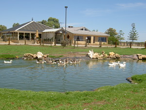 Aquaponics Australia Pic 4 - Aquaponics Farm store