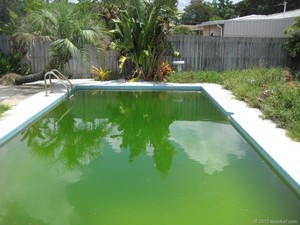 Always Clear Pools N Spas Pic 5 - Always Clear Pools N Spas can also help onsite with any pool or spa problem you may have