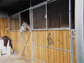 epa steel buildings Pic 1 - Equine Shedding