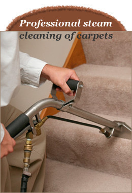 Clean Steam Carpet & Tile Cleaning Pic 1