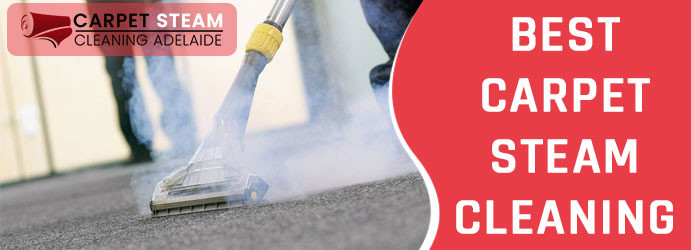 Carpet Steam Cleaning Adelaide Pic 1 - Carpet Cleaning Services