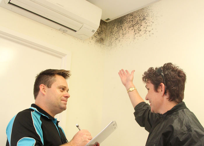 Mould Assessment Australia Pic 1