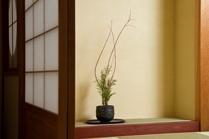 Zen's Studio - Japanese Space and Decor Pic 2