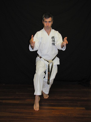 Shotokan Karate Sunshine Coast Pic 5 - Chief Instructor of SKS Sensei Michael Allen