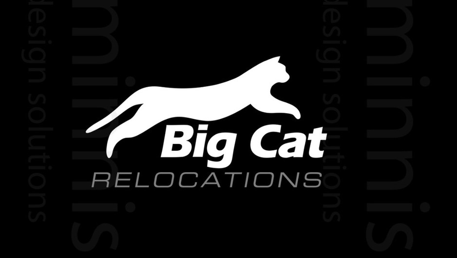 Edifice Construction Pic 1 - The Big Cat Relocations Sydney Removalist Logo