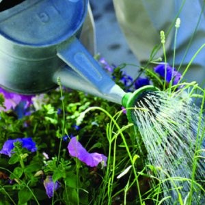 Best Gardener Melbourne Pic 2 - Gardeners melbourne