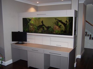 Kitchen Addiction & Joinery Pic 3 - Fish Tanks made to your specifications