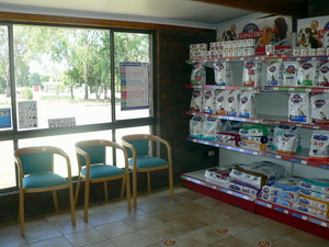 Albert Street Veterinary Clinic Pic 2 - Albert Street Veterinary Clinic waiting room