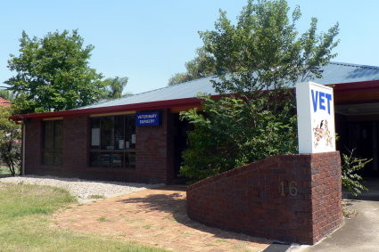 Albert Street Veterinary Clinic Pic 1 - Albert Street Veterinary Clinic Beaudesert opposite Beaudesert Showgrounds