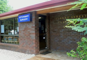 Albert Street Veterinary Clinic Pic 3 - Albert Street Veterinary Clinic Beaudesert