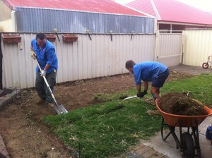 Perpetual Landscape and Design Pic 4 - Turf Removal Woodville South