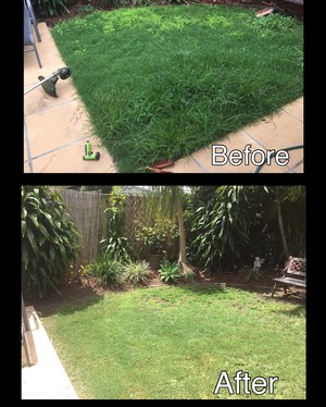 Slash Price Mowing and Gardening Pic 2