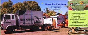 Bowen Tree & Yardworx Pic 5