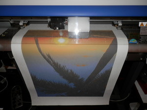 Sticker Sign Solutions Pic 5 - Full colour digital printing Sticker Sign Solutions Simple Affordable Signage Solutions