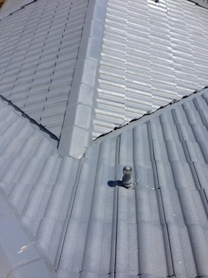 Colour Elegance Pic 3 - Roof Repairs to make your property watertight and prevent mould