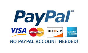 FASH DASH Pic 2 - PayPal