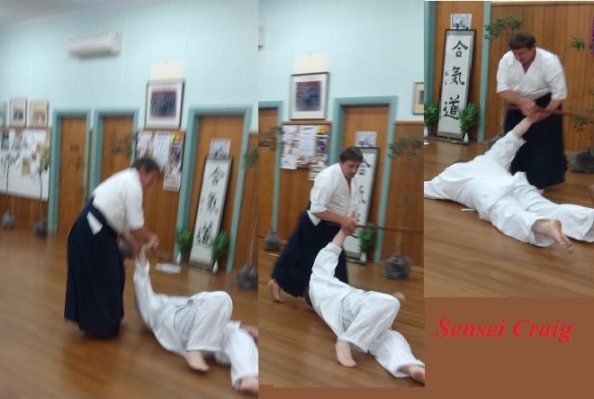 Geelong Sabaki School Pic 1 - Aikido Wednesdays 730pm