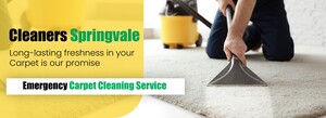 Carpet Cleaning Springvale Pic 2