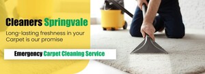 Carpet Cleaning Springvale Pic 3