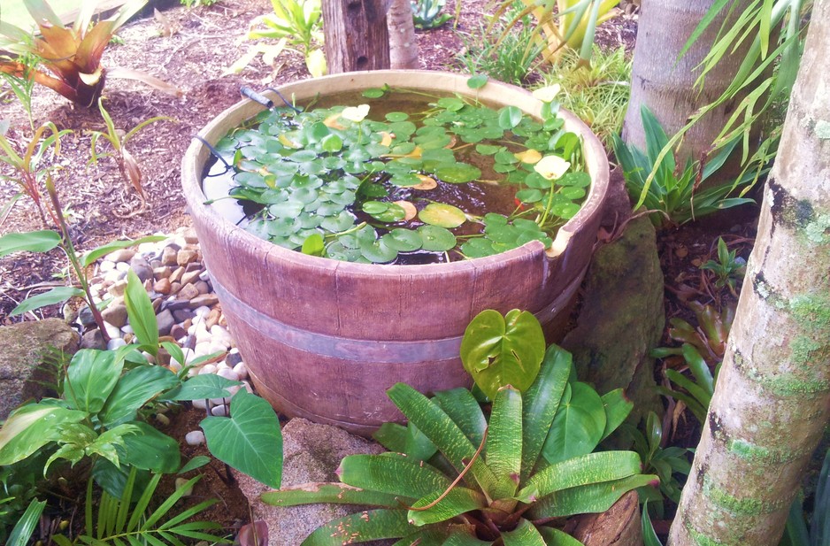 Work In Dirt Landscaping Pic 1 - Water Features