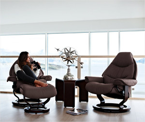 Globe Interiors Pic 2 - Stressless Recliners and Sofas