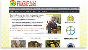 Eagle Web Design Pic 2 - Maroochy River Pest Control mobile responsive website