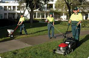 Jim's Mowing Quakers Hill Pic 3