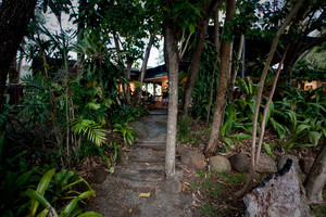 Cedar Creek Lodges Pic 4 - Rainforest Accommodation at Cedar Creek Lodges