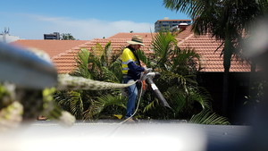 Tidy Place Pic 4 - Gutter cleaning with harness 3 storey