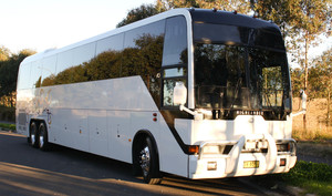 Busy Buses Sydney Pic 5 - 36 to 57 seat corporate coaches