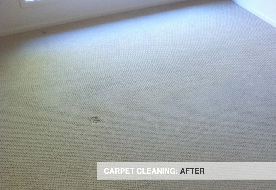 Pacmate Services - Gold Coast Pic 1 - After being cleaned by Pacmate