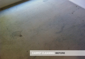 Pacmate Services - Gold Coast Pic 2 - Before being cleaned by Pacmate