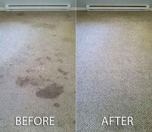 Dirt2tidy Cleaning Services Pic 2 - Carpet steam Cleaning