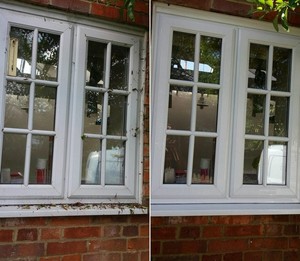 Dirt2tidy Cleaning Services Pic 5 - Window cleaning