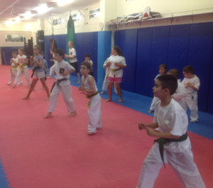 Nutaofit Martial Arts Academy - Bentleigh East Pic 2