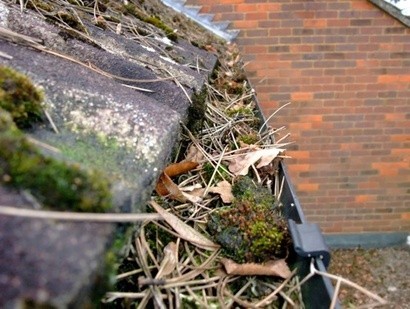 Southern Gutter Cleaning Pic 1