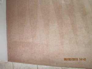 Environmental Home Services Pic 4 - The same carpet cleaned by the proven Hot Water Extraction Method it works