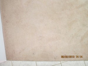 Environmental Home Services Pic 3 - This carpet had just been cleaned by another process the day before