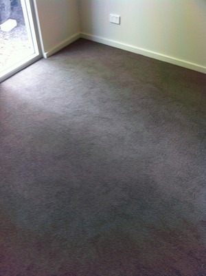 Direct Floor Coverings Pic 5 - Direct Floor Coverings Solution Dyed Nylon Carpet