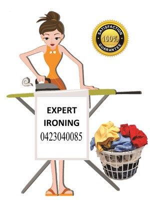 Expert Ironing Pic 4