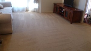 Plush Carpet Care And Pest Control Pic 3 - Finished carpet cleaning with a great result picture 3 of 3